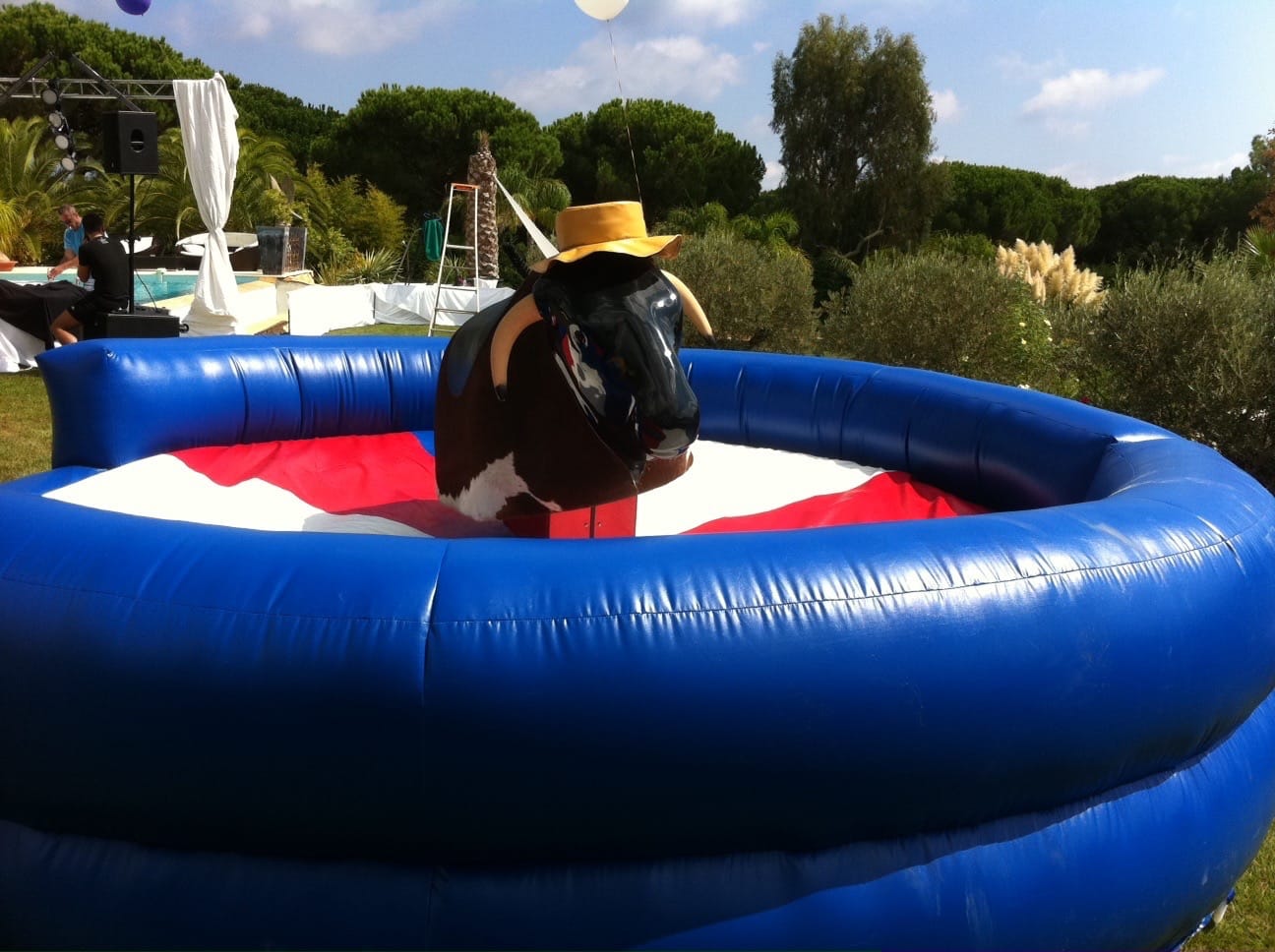 You are currently viewing location taureau mécanique